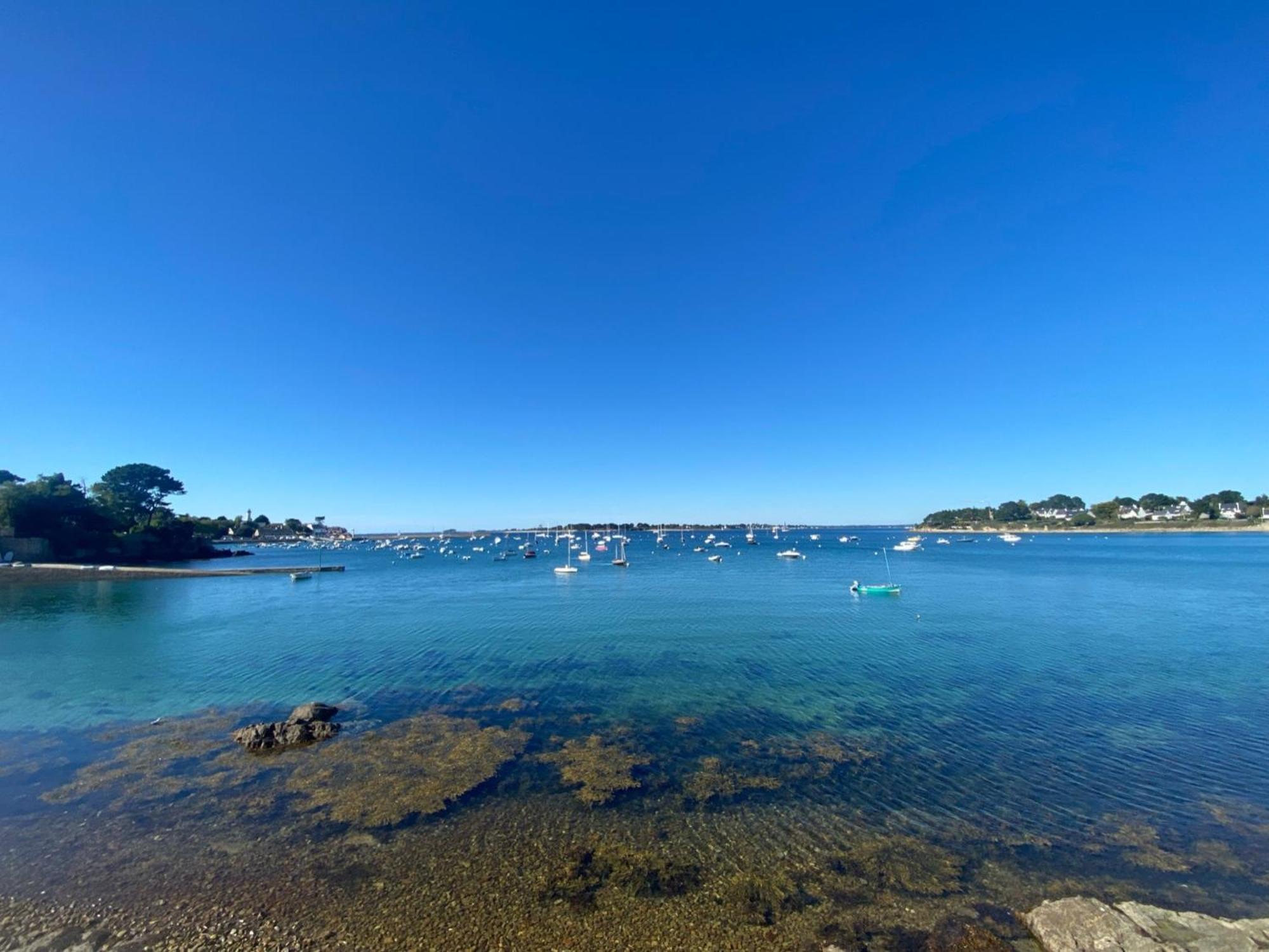 Appartement Duplex Familial Vue Mer, Proche Plage Et Commerces - Fr-1-639-125 阿尔松 外观 照片